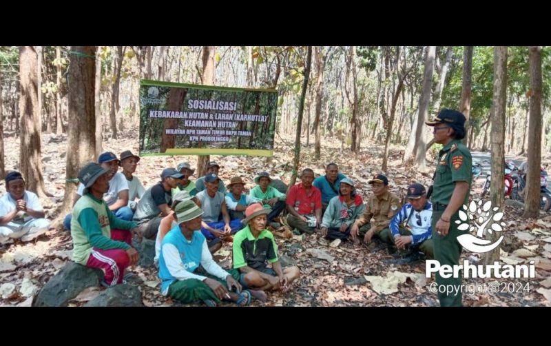 uploads/news/2024/10/perhutani-probolinggo-gelar-sosialisasi-5450062922f61f0.jpg