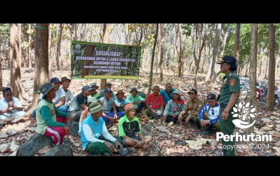 uploads/news/2024/10/perhutani-probolinggo-gelar-sosialisasi-5450062922f61f0_400.jpg