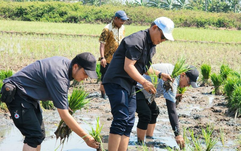 uploads/news/2024/10/petani-swadaya-semangat-lakukan-55841f5a5612e50.jpeg