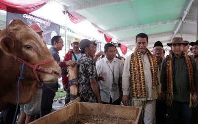 uploads/news/2024/11/ketua-mpr-puji-kinerja-12403b4a3ef91b4_400.jpeg