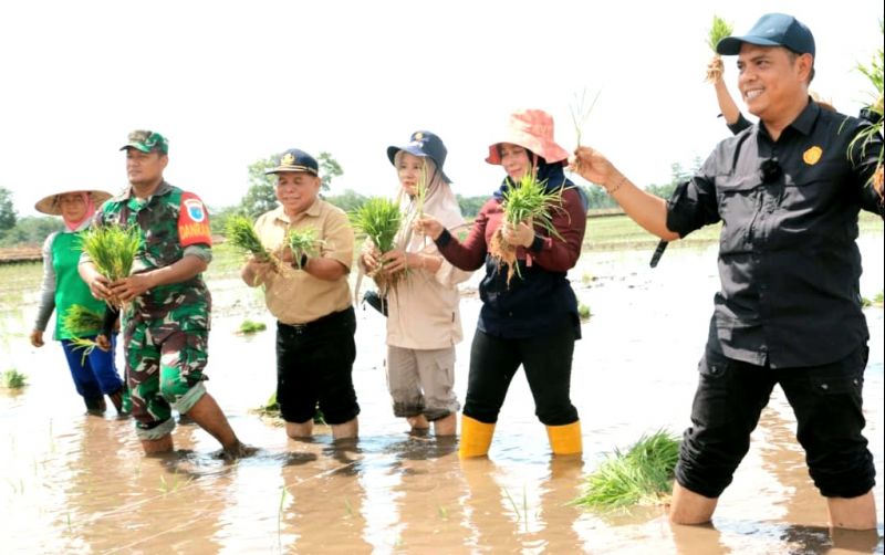 uploads/news/2024/11/oplah-untuk-meningkatkan-produksi-74289a6905a8348.jpg