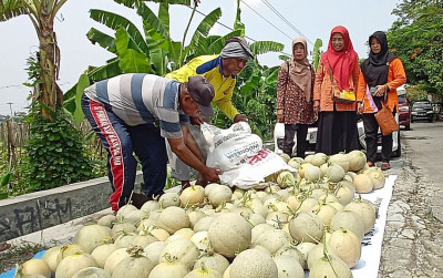 uploads/news/2024/11/panen-raya-desa-karanganom-322053082545820_400.jpg