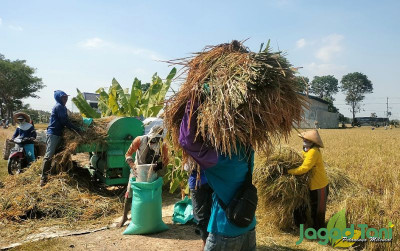 uploads/news/2024/11/pegawai-kementan-harus-mewujudkan-62623938f5b6341_400.jpg