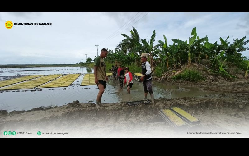 uploads/news/2024/12/bsip-papua-dampingi-brigade-236865b47a0cb12.png