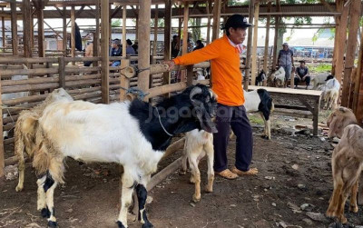 uploads/news/2024/12/harga-kambing-jelang-nataru-189307fa5f93568_400.jpg