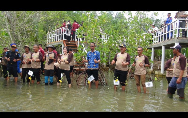 uploads/news/2024/12/hutan-mangrove-pangandaran-pilihan-976674b742db4d6.jpg