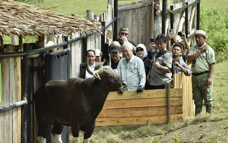 uploads/news/2024/12/menhut-resmikan-reintroduksi-banteng-900830064bcce62.jpg