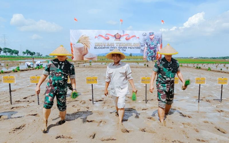 Perkuat Kolaborasi Mentan Amran dan Panglima TNI Wujudkan Swasembada Pangan uploads/news/2024/12/perkuat-kolaborasi-mentan-amran-201699e044ea0ed.jpeg