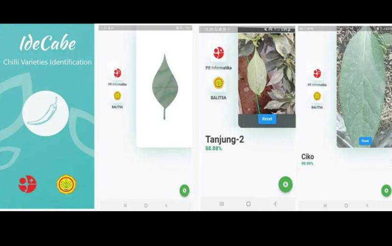 uploads/news/2025/01/brin-hadirkan-aplikasi-pengindentifikasi-24592f5cf68df8a.jpg