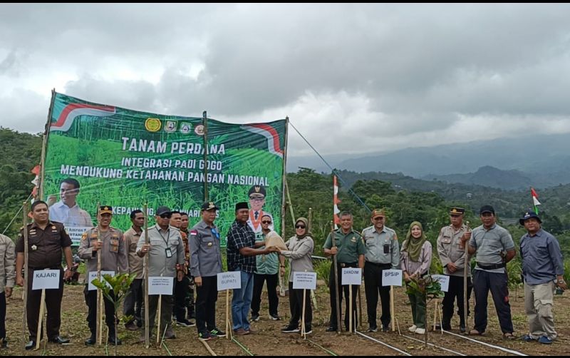 uploads/news/2025/01/integrasi-tumpang-sisip-padi-43582f9c5c33021.jpeg