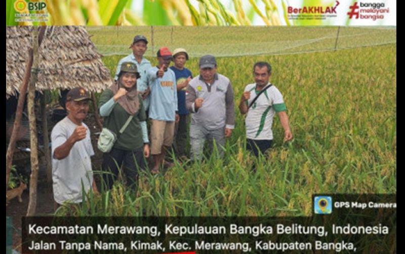 uploads/news/2025/01/monitoring-persiapan-panen-lahan-81986e980742c21.jpg