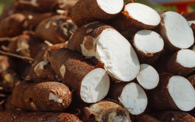 Petani Singkong Dirugikan, Mentan Panggil Importir Singkong uploads/news/2025/01/petani-singkong-dirugikan-mentan-8679064c16b04a9.jpg