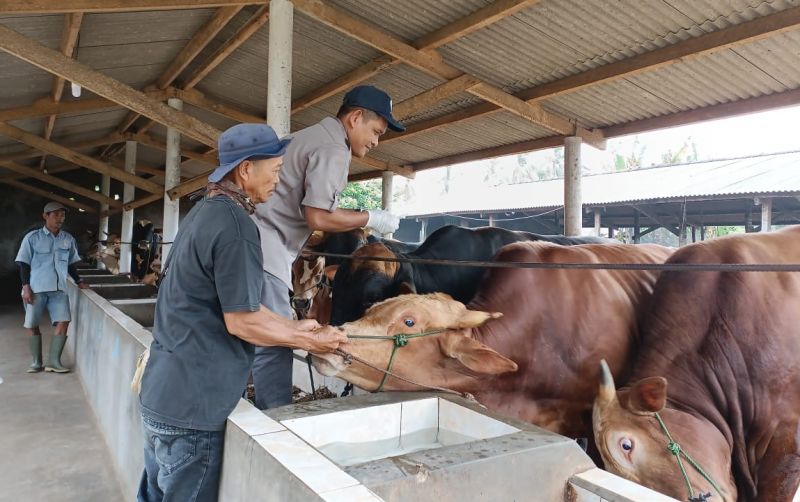 uploads/news/2025/02/kementan-gelar-vaksinasi-sapi-3436594d24b5abe.jpeg