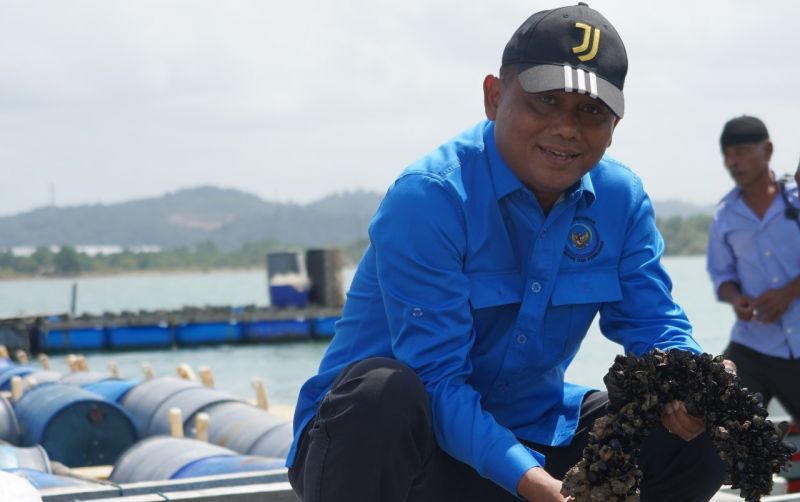 Modeling Budidaya Lobster Di Batam Tunjukan Kemajuan uploads/news/2025/02/modeling-budidaya-lobster-di-25036509f23f8dd.jpg