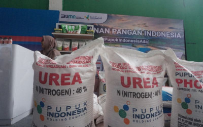 uploads/news/2025/02/pupuk-indonesia-ajak-petani-590758cbc2e24f2_400.jpeg