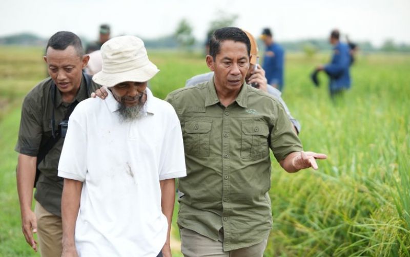 Bulog Pastikan Tetap Serap Gabah Di Ramadan uploads/news/2025/03/bulog-pastikan-tetap-serap-57321530d655405.jpeg
