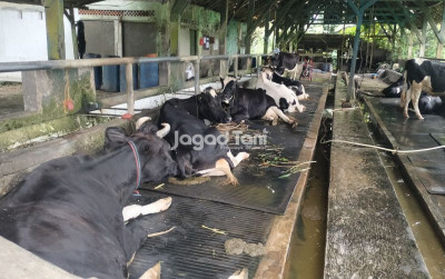 uploads/news/2025/04/brin-bahas-inovasi-pemuliaan-36389ee8b24c164_400.jpg