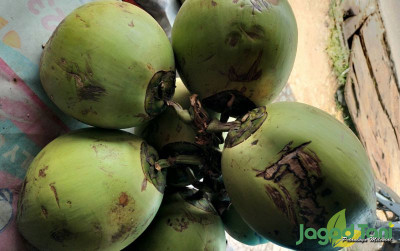 uploads/news/2025/04/brin-ungkap-potensi-indonesia-59373f3b4115527_400.jpg