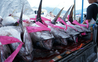 uploads/news/2025/04/dana-rp163-miliar-dikucurkan-18655a007867cd4_400.jpg