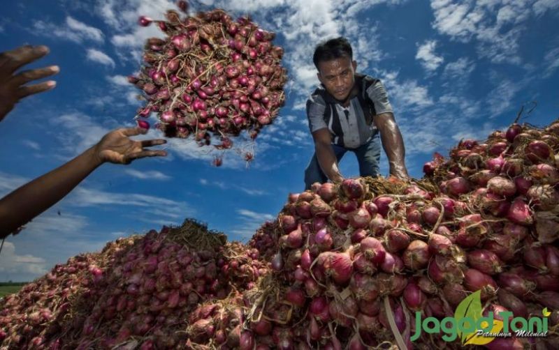 uploads/news/2025/04/harga-bawang-mulai-berangsur-794360b59a1de7c.jpeg