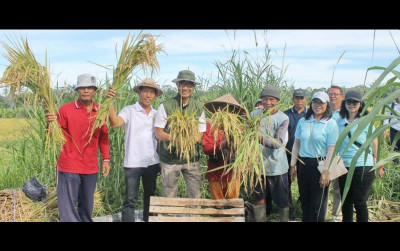 uploads/news/2025/04/hasil-ubinan-padi-inpago-486590ebc81d15c_400.jpg