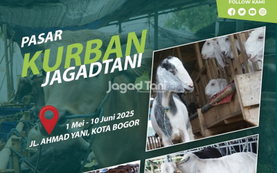 uploads/news/2025/04/ingin-buka-lapak-hewan-4176292230d9ef3_400.jpg
