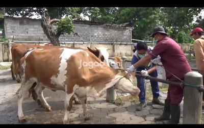 uploads/news/2025/04/jelang-idul-adha-pmk-27580e9eb79338f_400.jpg