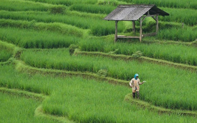 uploads/news/2025/04/kejar-oplah-kementan-distribusikan-61675abb760faa6_400.jpg