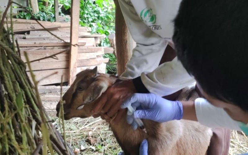 Kementan Ambil Tindakan Antraks Di Gunung Kidul uploads/news/2025/04/kementan-ambil-tindakan-antraks-1458235c359dcf2.jpeg