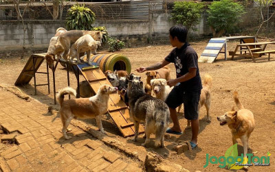 uploads/news/2025/04/kementan-dan-jaan-kolaborasi-47303f448915ef1_400.jpg