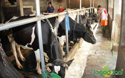uploads/news/2025/04/kementan-fasilitasi-kemitraan-tingkatkan-11954767bb0adca_400.jpg