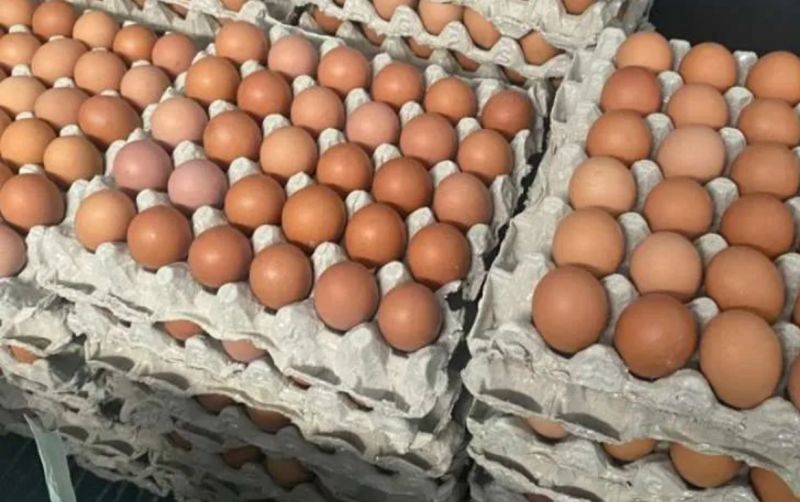 Kementan Stabilisasi Harga Telur di Tingkat Peternak uploads/news/2025/04/kementan-stabilisasi-harga-telur-691495d1253e911.jpeg
