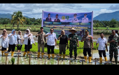 uploads/news/2025/04/mandailing-natal-targetkan-panen-66322b6ad92b999_400.jpg