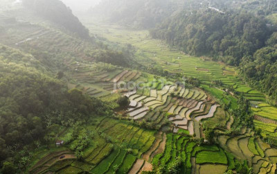 uploads/news/2025/04/mengenal-balai-penerapan-modernisasi-15141d4687dbcf6_400.jpg
