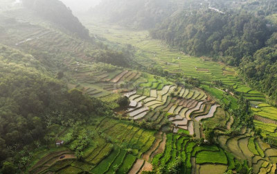 uploads/news/2025/04/modernisasi-pertanian-transformasi-bsip-12868fcf463ec35_400.jpg
