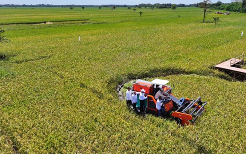 Panen Raya, Prabowo Serap Aspirasi Petani se-Indonesia uploads/news/2025/04/panen-raya-prabowo-serap-984988e1a4de8b4.png