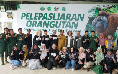 uploads/news/2025/04/pelepasliarkan-orangutan-dalam-peringati-705931c98eac6bd_400.jpg