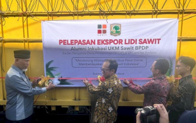 uploads/news/2025/04/peluang-bisnis-lidi-sawit--44462e15370c63c_400.jpg