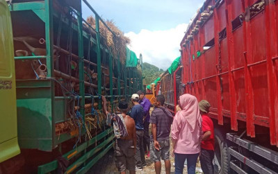 uploads/news/2025/04/pengaturan-distribusi-sapi-kurban-37796879c4f1ed7_400.jpg