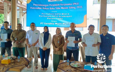 uploads/news/2025/04/penuhi-kebutuhan-gula-perhutani-961103348b69273_400.jpg