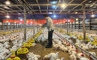 uploads/news/2025/04/stabilkan-harga-ayam-kementan-913184f241a3bb1_400.jpeg