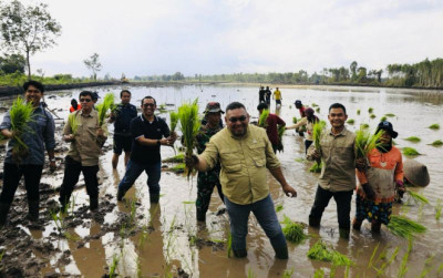uploads/news/2025/04/tanam-perdana-di-kapuas-580658c9dca4374_400.jpeg