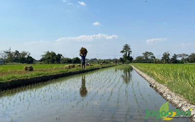 uploads/news/2025/04/tni-berperan-besar-dukung-9165477eeb1333b_400.jpg