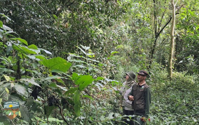 uploads/news/2025/05/alas-simpenan-cagar-alam-161246962b8a45b_400.jpg