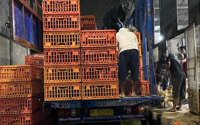 uploads/news/2025/05/awasi-harga-ayam-kementan-2611152f19e1972_400.jpeg