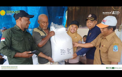 uploads/news/2025/05/bantuan-inpago-13-fortiz-537467bb958873d_400.png
