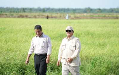 uploads/news/2025/05/berkat-petani-stok-beras-115418c9dca4374_400.jpeg