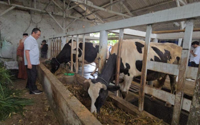 uploads/news/2025/05/berkat-program-p2sp-produksi-70522f335b2550a_400.jpeg