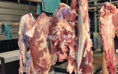 uploads/news/2025/05/brin-berbagi-tips-jaga-27430104517726d_400.jpg