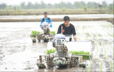 uploads/news/2025/05/capai-swasembada-pangan-bea-71226e08c5353da_400.jpg